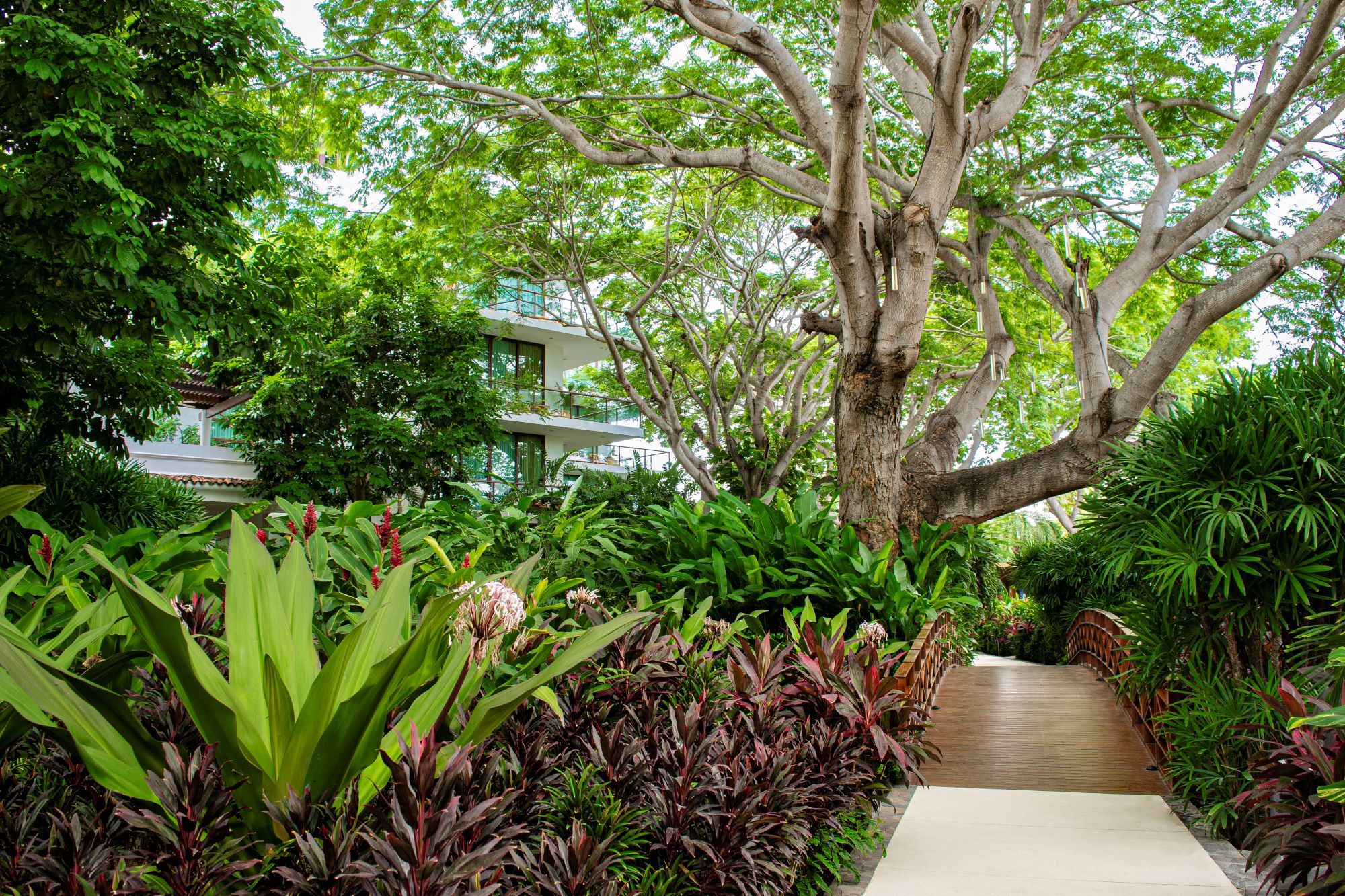 Selvara Signature Collection Reviews Why Travelers Love This Peaceful Coastal Escape 3 4